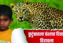 Leopard Attack : बिबट्याच्या हल्ल्यात ६ वर्षीय चिमुकल्याचा मृत्यू, परिसरात भीतीचे सावट
