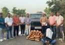 गोंदियात गांजासह ५४ लाखांचा माल जप्त; स्थानिक गुन्हे शाखेची धडक कारवाई