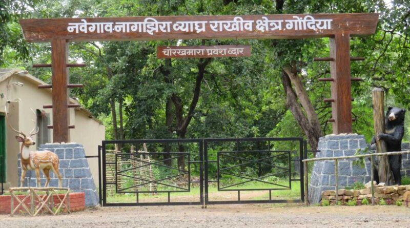 नवेगाव-नागझिरा व्याघ्र प्रकल्प पर्यटनासाठी पूर्णपणे ‘लॉक’; विणीच्या हंगामामुळे तीन महिने दारे राहणार बंद
