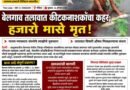 बेलगाव तलावात कीटकनाशकांचा कहर; हजारो मासे मृत!