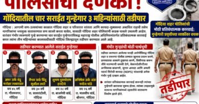 आगामी सण-उत्सवांच्या पार्श्वभूमीवर पोलिसांचा दणका! गोंदियातील चार सराईत गुन्हेगार ३ महिन्यांसाठी तडीपार