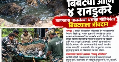 शिकारीच्या नादात विहिरीत पडला बिबट्या आणि ४ रानडुकरे शिकारीच्या नादात विहिरीत पडला बिबट्या आणि ४ रानडुकरे