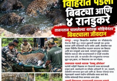 शिकारीच्या नादात विहिरीत पडला बिबट्या आणि ४ रानडुकरे
