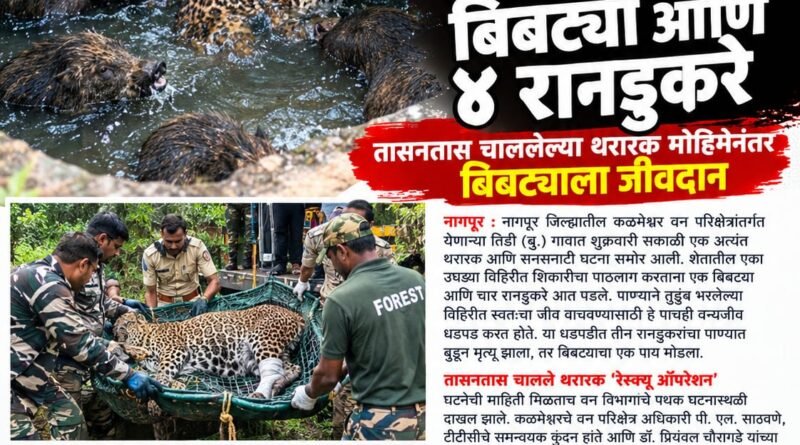 शिकारीच्या नादात विहिरीत पडला बिबट्या आणि ४ रानडुकरे