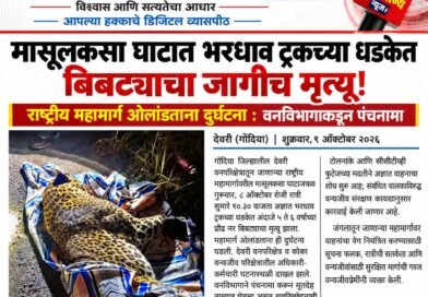 मासूलकसा घाटात भरधाव ट्रकच्या धडकेत बिबट्याचा जागीच मृत्यू!
