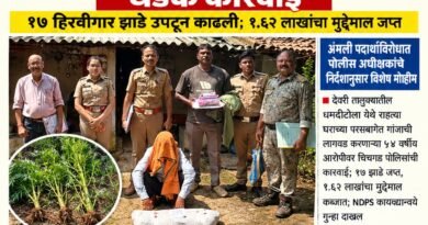 घराच्या वाडीत गांजाची शेती करणारा आरोपी गजाआड; चिचगड पोलिसांची धडक कारवाई घराच्या वाडीत गांजाची शेती करणारा आरोपी गजाआड; चिचगड पोलिसांची धडक कारवाई